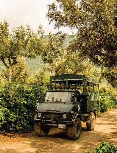 Coffee Tour at Finca Filadelfia Calderon Figueroa Wedding