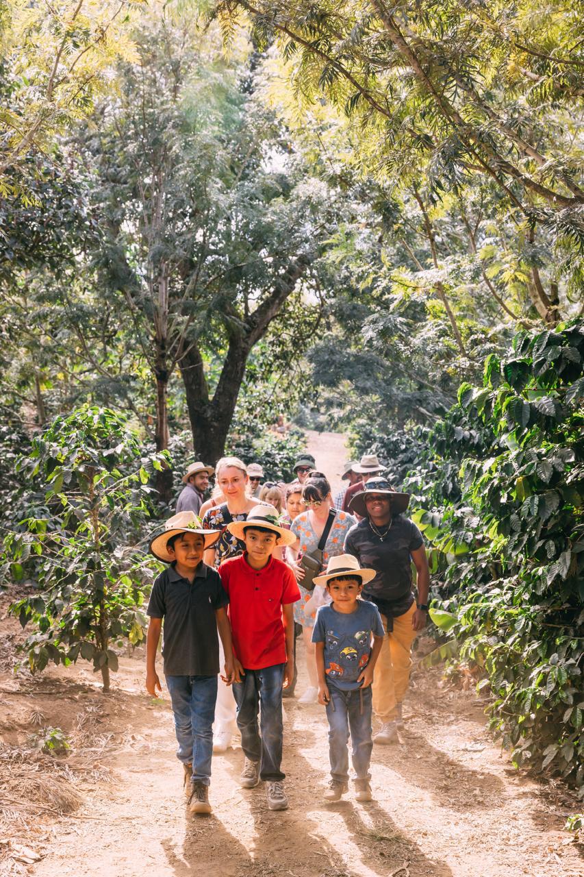 Coffee Plantation Tour